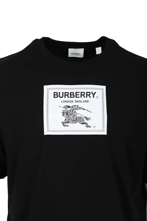 Imbracaminte Burberry pentru Barbati 